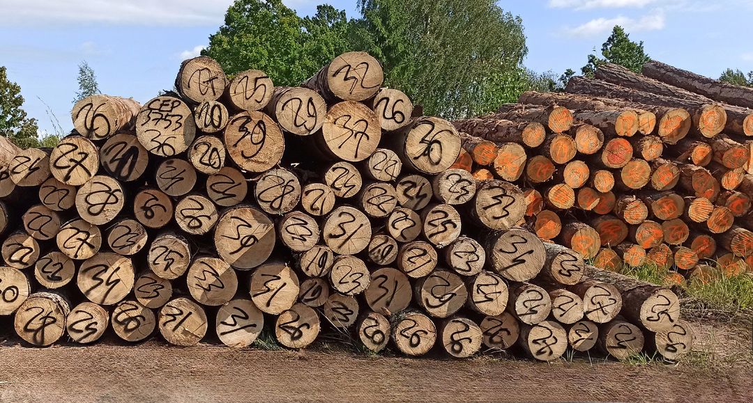 Apaļkoku realizācija