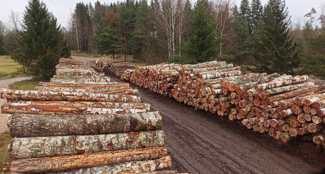 Mežizstrāde un meža inventarizācija